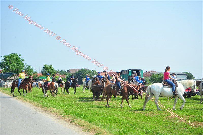 DSC_0737.JPG